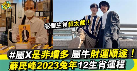 蘇民峰2023兔年運程